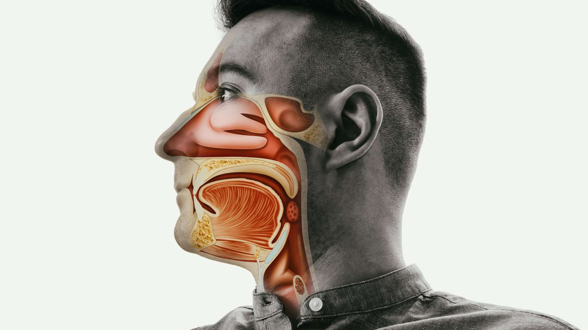 Upper Respiratory